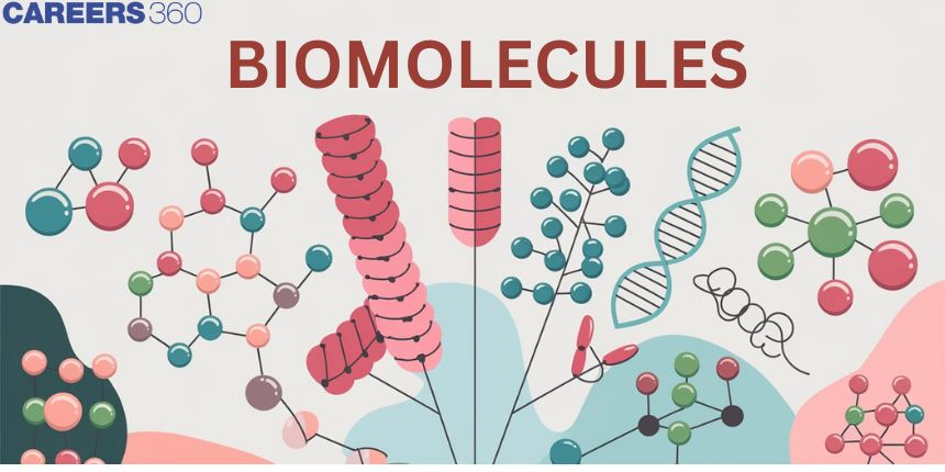 Biomolecules - Types, Structure and Function